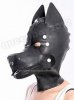 zipper dog.jpg
