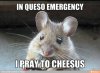 629F0735-C549-4BC5-9FB6-C1F098D5BE9E.jpeg