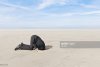 head in the sand.jpg