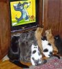 FB_IMG_1520894871672.jpg