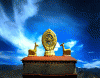 xin_040903271621554016040.gif