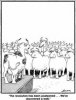 cows.jpg