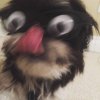 blurry_photos_are_great_as_well_640_20.jpg
