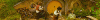tumblr_m9ko6znHgA1qgzsm6o6_500.gif