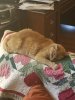 20180315_184008.jpg