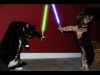 Dog and cat fight.jpg