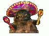 tumblr_mmczq7Gfp81qzk3efo1_250.gif