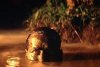 apocalypse river scene.jpg