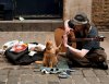 00-cat-high-five-04-05-15.jpg