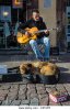 dog-sleeping-in-guitar-case-of-busker-playing-music-on-the-street-f4pap8.jpg