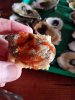 20180514_130048.jpg