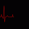 FocusedCompetentEyas-max-1mb.gif