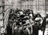 concentration camp.jpg