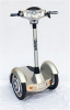 standing scooter.png