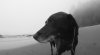 349AFCDD-2604-4D24-B153-A39F012B3912.jpeg