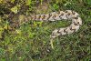 Resized_20180831_104631_2873.jpeg