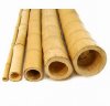 bambo cane.jpg