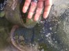 ImageUploadedByTapatalk1405556917.211676.jpg