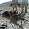 GSD1.jpg