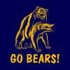 go_bears_detail_01.jpg