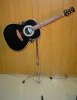 ovation on a standdownload.jpg
