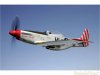 P51NAAO.jpg
