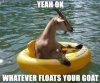 FB_IMG_1541231259668.jpg