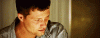 SarcasticGrandAplomadofalcon-small.gif