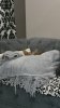 20181102_062330.jpg