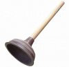 toilet plunger.jpg