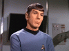 giphy (2).gif