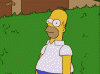 ezgif-com-video-to-gif-5.gif