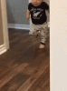 BabyRun.gif