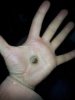 hand-hole1.jpg