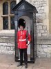 buckingham guard.jpg