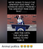 were-going-to-build-the-greatest-dog-park-its-gonna-14464504.png