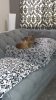 image000000_28.jpg