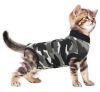 upload_2019-3-14_6-40-18.png