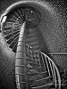 escher 3.jpg