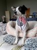 Resized_20190414_112937.jpeg