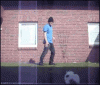 giphycatr.gif