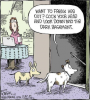 dogs.png