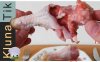 chicken leg.jpg