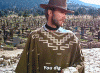 Poncho 4.gif