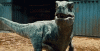 tenor.gif