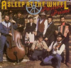 asleep at the wheel.png