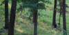 upload_2019-7-9_20-56-39.png