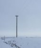pole.jpg