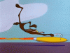wile-e-coyote-gif-2.gif