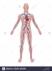 upload_2019-8-19_18-40-56.png